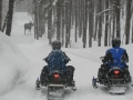 Speedy Snowmobile Rentals