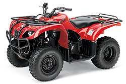 Yamaha_bruin